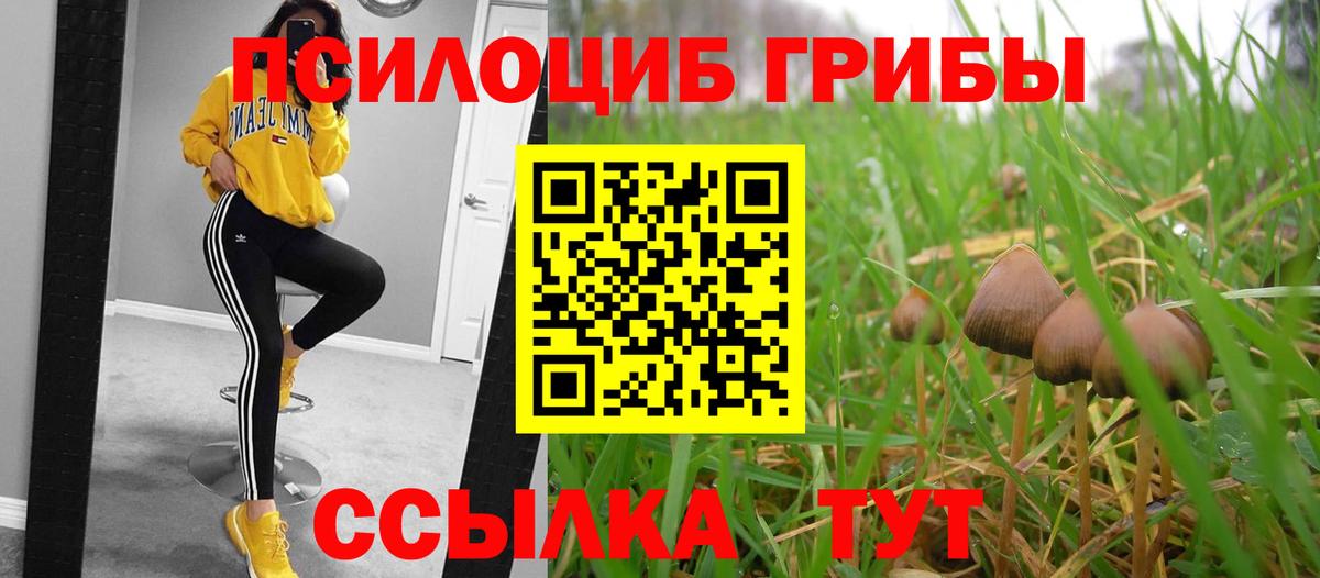 Анапа  Галлюциногенные грибы Psilocybe  Вход с VPN 